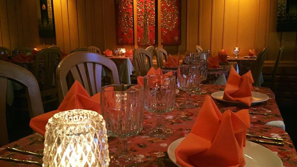 Thai Orchid Blue Bell